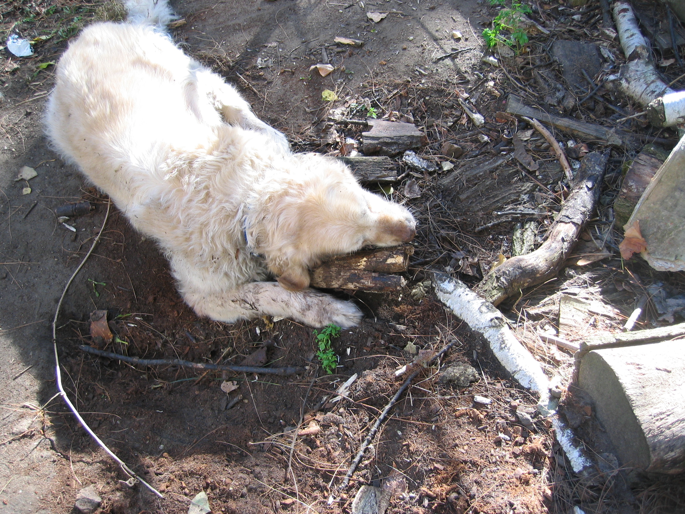 Schlechte Erfahrungen